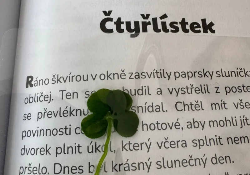 Třeťáci jsou Oflajňáci - díl druhý.
