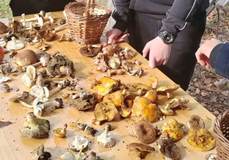 Šesťáci na Pravdě