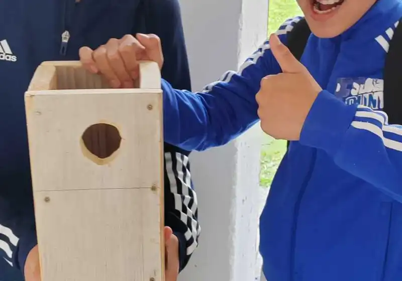 Ptačí budky se šesťáky