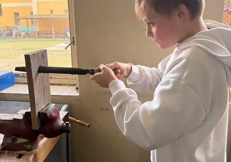 Ptačí budky se šesťáky