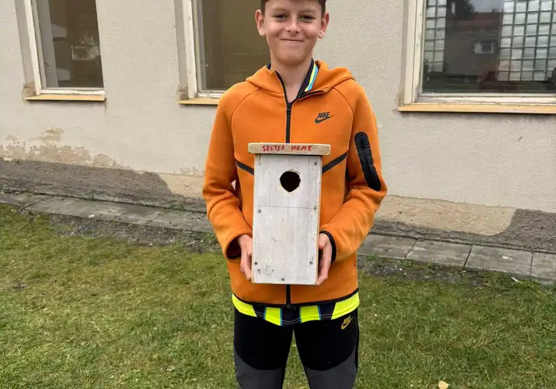 Ptačí budky se šesťáky