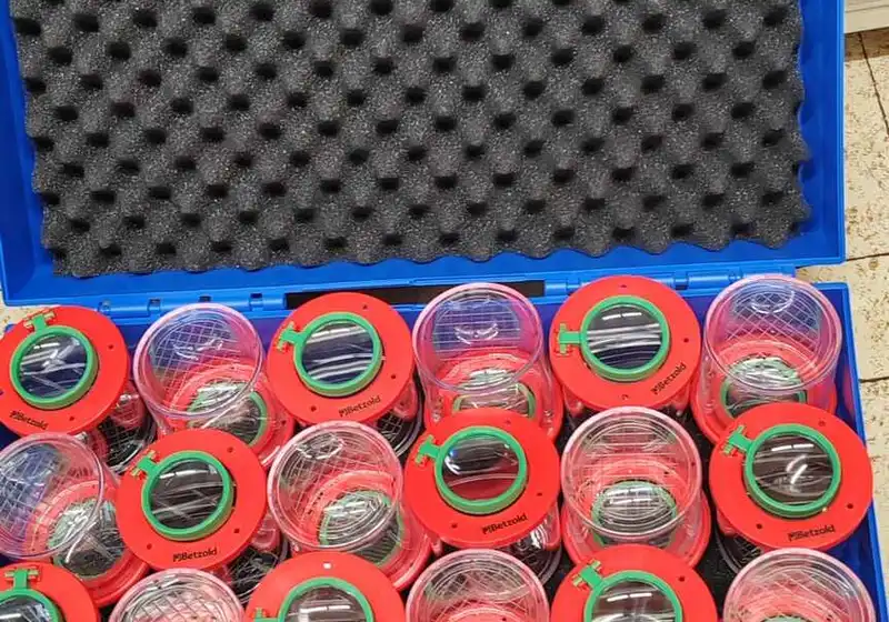 Ekologická výchova na naší škole